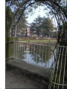 Rosarium in Uetersen