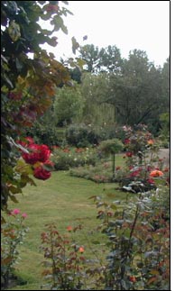 Rosarium in Uetersen