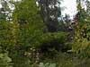 Arboretum in Haseldorf
