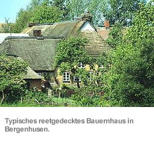 Willkommen im Storchendorf Bergenhusen
