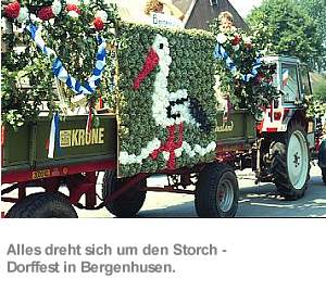 Willkommen im Storchendorf Bergenhusen