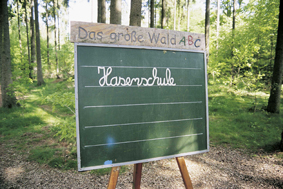 Wichtelwald und Hasenschule