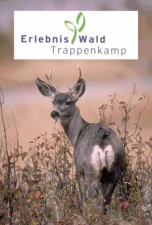 Erlebniswald Trappenkamp