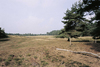 �Naturrasenm�her� in der Barker Heide