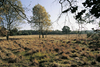 Natur in herber Sch�nheit