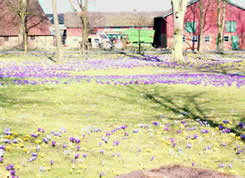 Gemeinde Leezen