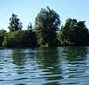 Blick auf den Wardersee