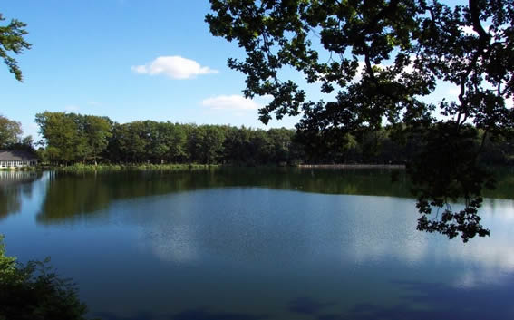 Gemeinde Weddelbrook