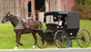 Landmuseum Gest�t Traventhal e.V.