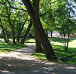 Klosterinsel