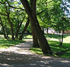 Klosterinsel