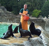 Tierpark