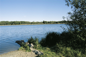 Bad am Stadtwald
