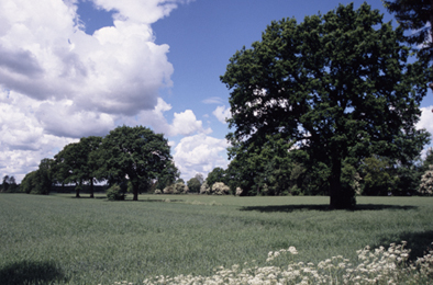 Metropolregion und freie Landschaft