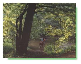 Die Bille zwischen Stormarn und Herzogtum Lauenburg