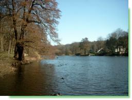 Die Bille zwischen Stormarn und Herzogtum Lauenburg