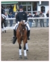Reitsportausbildung