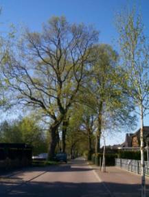 A destination not only for hikers - Witzhave
