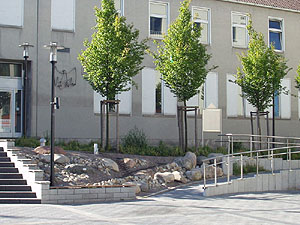 Stadtwald
