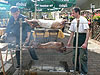 Biergärten | Essen | Biergärten in Essen sind eröffnet... | Biergarten