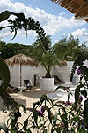Estrella Beach Club