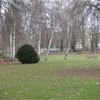 Willy-Brandt-Park -Stadtpark Düren