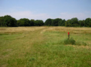 Naturschutzgebiet Wahner Heide