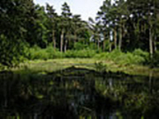 Naturschutzgebiet Wahner Heide