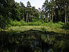 Naturschutzgebiet Wahner Heide