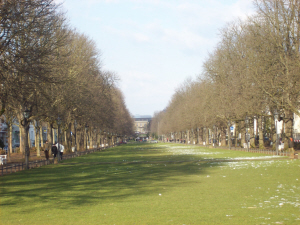 Poppelsdorfer Palace