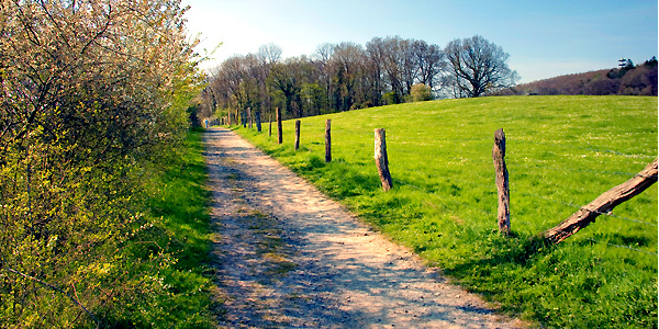 Wandern im Tecklenburger Land