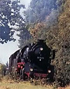 Teuto-Express
