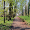 Pilgern auf dem Jakobsweg - Margareten-Lengerich als Wallfahrtsort