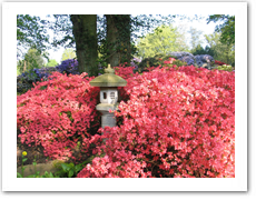 Rhododendronpark Bremen