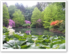 Rhododendronpark Bremen
