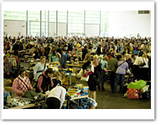 piccolino* Markt