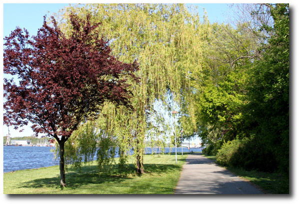Promenade Gehlsdorf