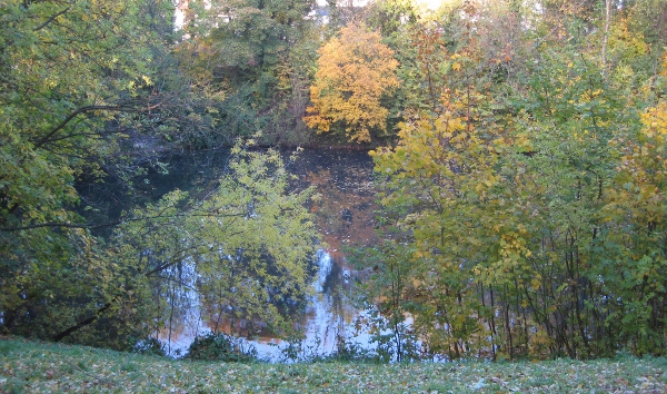 Der Rostocker Wall