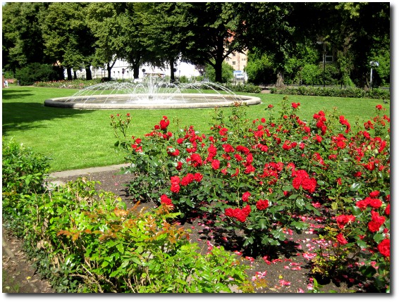 Rosengarten