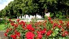 Der Rosengarten
