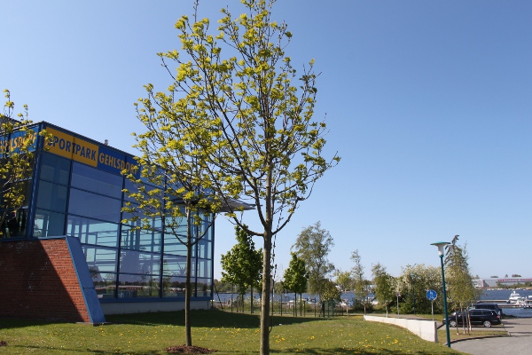 Die Schwimmhalle Rostock Gehlsdorf