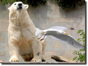 Rostocker Zoo