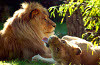 Rostocker Zoo