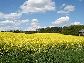 Gemeinde Zierow
