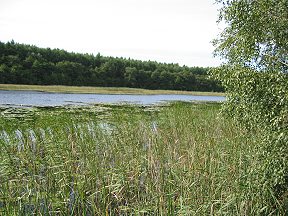Gemeinde Zierow
