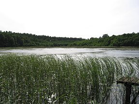Neukloster