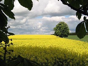 Schloss Pl�schow