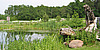 NUP - Natur und Umweltpark G&uuml;strow
