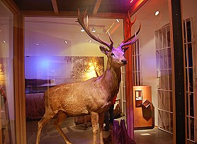 M�ritzeum - Haus der 1000 Seen in Waren (M�ritz)