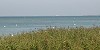 Die M&uuml;ritz - Deutschlands zweitgr&ouml;&szlig;ter Binnensee (1)